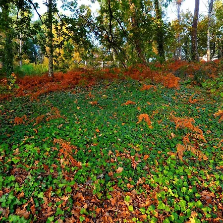 Casas Do Ermo - Ermo *