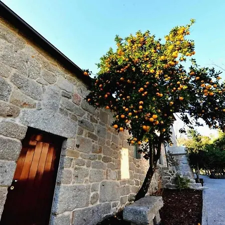 Casas Do Ermo - Ermo * Fafe