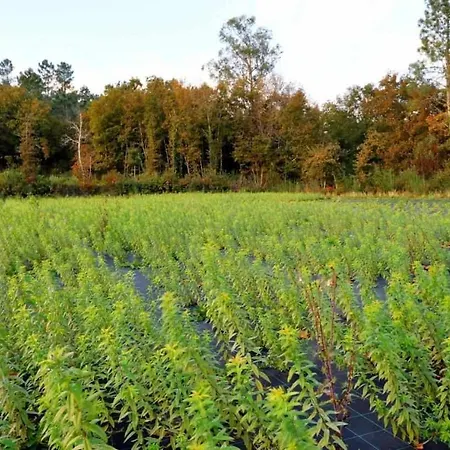 Villa Casas Do Ermo - Ermo *