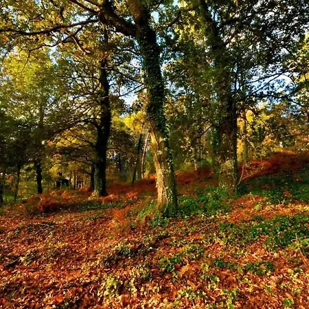 Villa Casas Do Ermo - Ermo