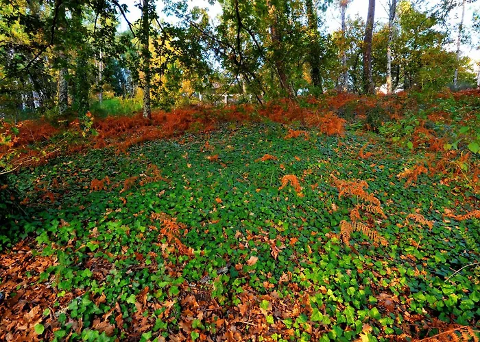 Casas Do Ermo - Ermo *