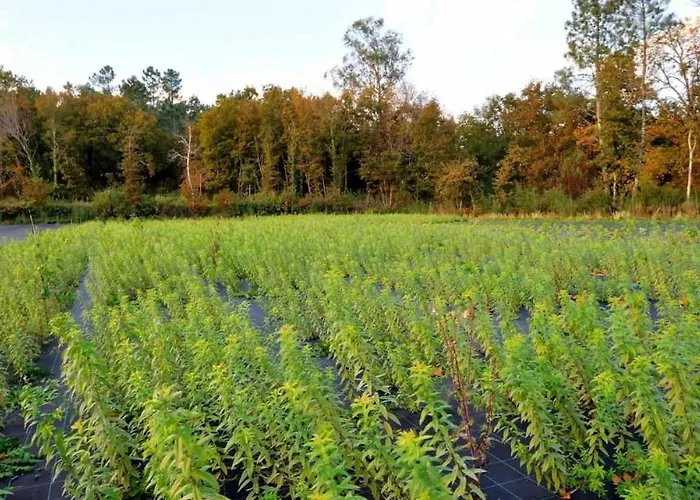 Villa Casas Do Ermo - Ermo *