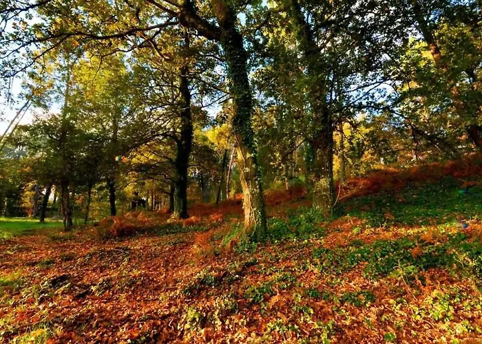 Villa Casas Do Ermo - Ermo